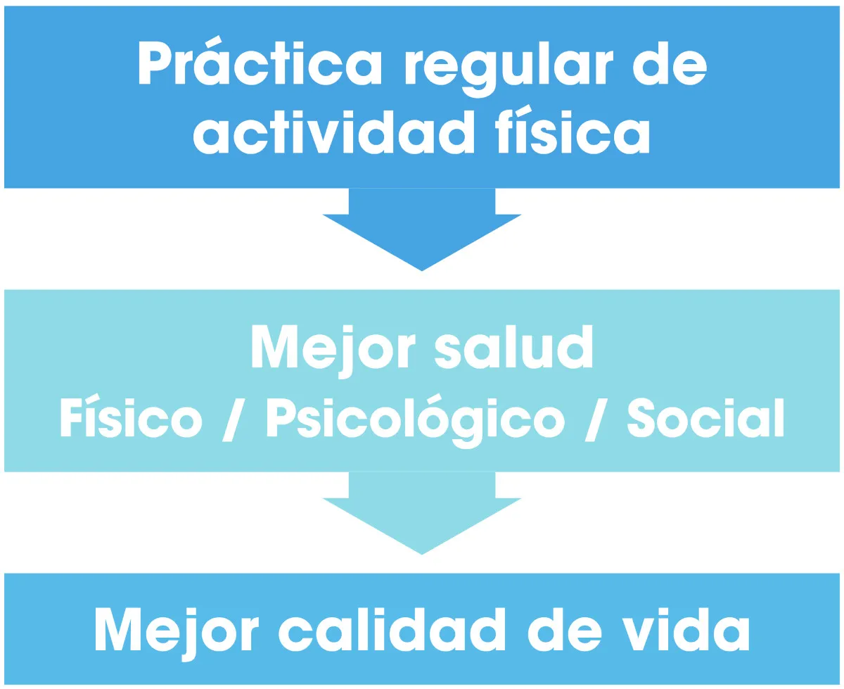 Actividad física