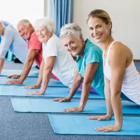 Exercicis recomanats